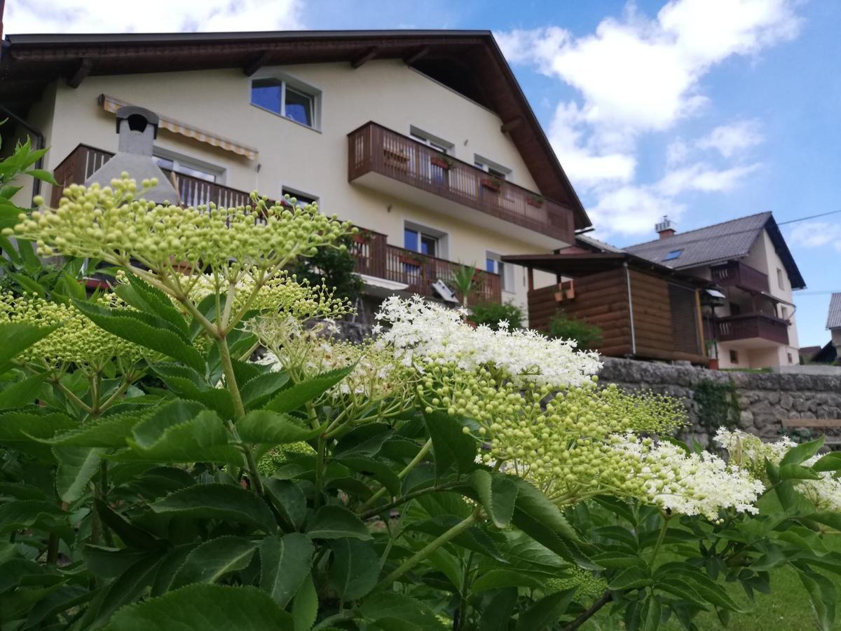 Apartments Mas Dovje المظهر الخارجي الصورة